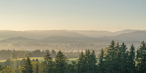 Morgendliche Landschaft mit Bergen und Bäumen, umgeben von sanften Nebelschwaden