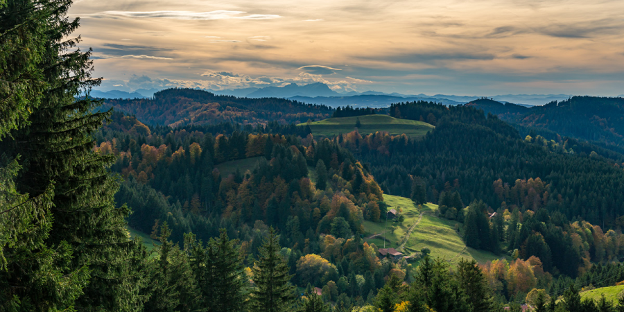 Herbstlandschaft mit bunten Bäumen und Bergen im Hintergrund